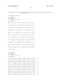 GLYCODELIN MONOCLONAL ANTIBODIES AND METHODS FOR THEIR USE IN THE     DETECTION OF OVARIAN CANCER diagram and image