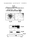 Pseudoinfectious Flavivirus and Uses Thereof diagram and image