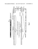 Pseudoinfectious Flavivirus and Uses Thereof diagram and image