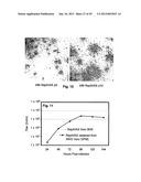 Pseudoinfectious Flavivirus and Uses Thereof diagram and image