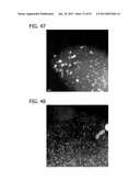 METAL UTILIZATION IN SUPPORTED, METAL-CONTAINING CATALYSTS diagram and image