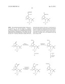 NK1 ANTAGONISTS diagram and image