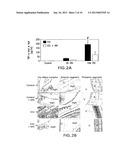 Methods Involving Aldose Reductase Inhibitors diagram and image