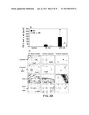 Methods Involving Aldose Reductase Inhibitors diagram and image