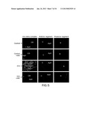 Methods Involving Aldose Reductase Inhibitors diagram and image