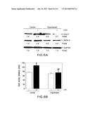 Methods Involving Aldose Reductase Inhibitors diagram and image