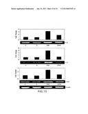 Methods Involving Aldose Reductase Inhibitors diagram and image