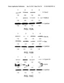 Methods Involving Aldose Reductase Inhibitors diagram and image