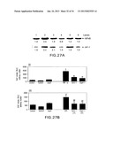 Methods Involving Aldose Reductase Inhibitors diagram and image