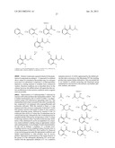 VOLTAGE-GATED SODIUM CHANNEL BLOCKERS diagram and image