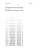 Compositions and Methods for Inhibiting Expression of XBP-1 Gene diagram and image