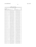 Compositions and Methods for Inhibiting Expression of XBP-1 Gene diagram and image