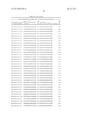 Compositions and Methods for Inhibiting Expression of XBP-1 Gene diagram and image