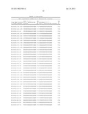 Compositions and Methods for Inhibiting Expression of XBP-1 Gene diagram and image