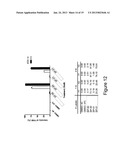 BIOLOGICALLY ACTIVE PEPTIDOMIMETIC MACROCYCLES diagram and image