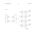 BIOLOGICALLY ACTIVE PEPTIDOMIMETIC MACROCYCLES diagram and image