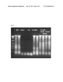 METHOD FOR SELECTIVE ISOLATION AND PURIFICATION OF NUCLEIC ACIDS diagram and image