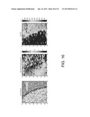 METHODS, SYSTEMS AND COMPUTER READABLE MEDIA FOR APPLYING MULTI-PUSH     ACOUSTIC RADIATION FORCE TO SAMPLES AND MONITORING A RESPONSE TO QUANTIFY     MECHANICAL PROPERTIES OF SAMPLES diagram and image