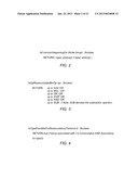 Rearrangement of Algebraic Expressions Based on Operand Ranking Schemes diagram and image