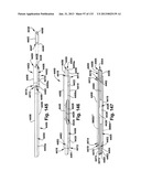 POWER OPERATED ROTARY KNIFE diagram and image