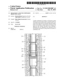 DEGRADABLE LAYER FOR TEMPORARILY PROTECTING A SEAL diagram and image