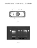 PULVERIZER AND CORRESPONDING METHOD FOR PREPARING A BIOLOGICAL SAMPLE FOR     PROCESSING diagram and image