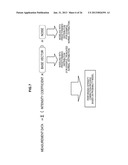 INFORMATION PROCESSING APPARATUS, INFORMATION PROCESSING METHOD, PROGRAM,     AND METHOD OF CORRECTING INTENSITY OF FLUORESCENCE SPECTRUM diagram and image