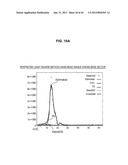 INFORMATION PROCESSING APPARATUS, INFORMATION PROCESSING METHOD, PROGRAM,     AND METHOD OF CORRECTING INTENSITY OF FLUORESCENCE SPECTRUM diagram and image