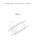 TUBE-STRUCTURED BATTERY TO BE INSERTED INTO LIVING BODY diagram and image