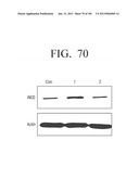 TUBE-STRUCTURED BATTERY TO BE INSERTED INTO LIVING BODY diagram and image