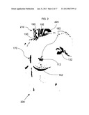 ANATOMICAL RECOGNITION, ORIENTATION AND DISPLAY OF AN UPPER TORSO TO     ASSIST BREAST SURGERY diagram and image