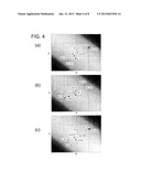 LIQUID CRYSTAL DISPLAY DEVICE diagram and image