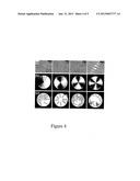 SPACE-VARIANT POLARIZATION MANIPULATION OF THERMAL EMISSION diagram and image