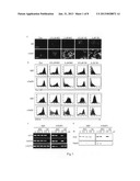 COMPOSITION AND METHOD FOR DIFFERENTIATION OF HUMAN EMBRYONIC STEM CELLS diagram and image