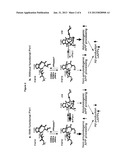 METHODS AND COMPOSITIONS FOR THE GENERATION AND USE OF     CONFORMATION-SPECIFIC ANTIBODIES diagram and image