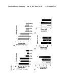 TWEAK/FN14 SYSTEM REGULATES SKELETAL MUSCLE ATROPHY AND REGENERATION diagram and image