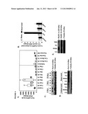 TWEAK/FN14 SYSTEM REGULATES SKELETAL MUSCLE ATROPHY AND REGENERATION diagram and image