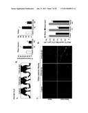 TWEAK/FN14 SYSTEM REGULATES SKELETAL MUSCLE ATROPHY AND REGENERATION diagram and image