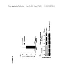 TWEAK/FN14 SYSTEM REGULATES SKELETAL MUSCLE ATROPHY AND REGENERATION diagram and image