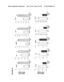 TWEAK/FN14 SYSTEM REGULATES SKELETAL MUSCLE ATROPHY AND REGENERATION diagram and image