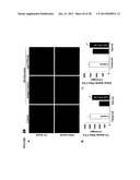 TWEAK/FN14 SYSTEM REGULATES SKELETAL MUSCLE ATROPHY AND REGENERATION diagram and image