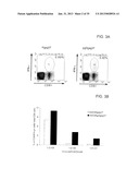 CONSTRUCTS FOR ENHANCING IMMUNE RESPONSES diagram and image