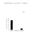 CONSTRUCTS FOR ENHANCING IMMUNE RESPONSES diagram and image