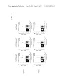 CONSTRUCTS FOR ENHANCING IMMUNE RESPONSES diagram and image