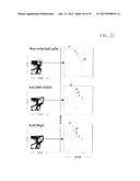 CONSTRUCTS FOR ENHANCING IMMUNE RESPONSES diagram and image