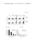 CONSTRUCTS FOR ENHANCING IMMUNE RESPONSES diagram and image