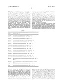 CONSTRUCTS FOR ENHANCING IMMUNE RESPONSES diagram and image