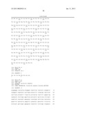 CONSTRUCTS FOR ENHANCING IMMUNE RESPONSES diagram and image