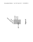 HERPES SIMPLEX VIRUS COMBINED SUBUNIT VACCINES AND METHODS OF USE THEREOF diagram and image