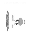 HERPES SIMPLEX VIRUS COMBINED SUBUNIT VACCINES AND METHODS OF USE THEREOF diagram and image